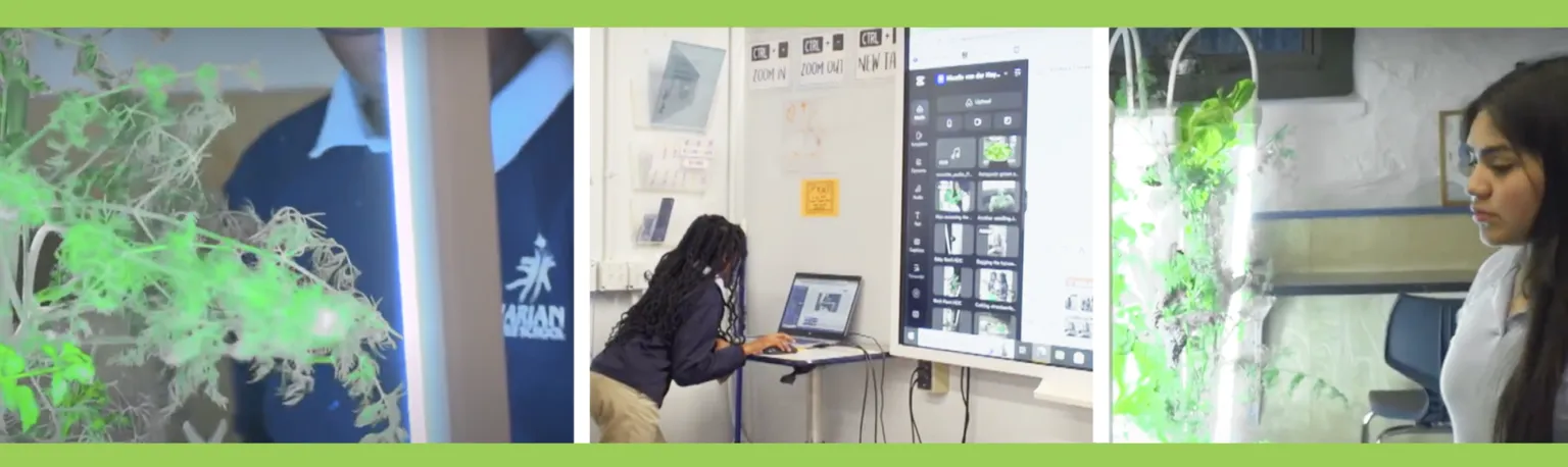 Addressing educational needs of girls of color in st. Louis