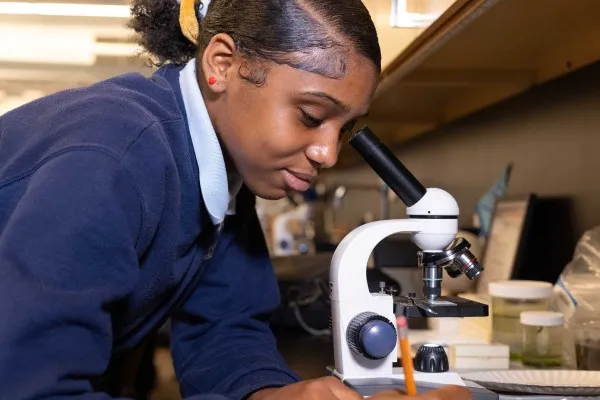 microscope