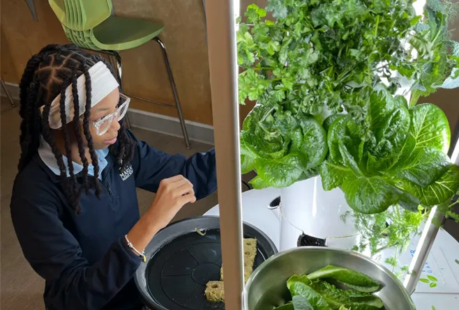 MMS Aeroponic Garden